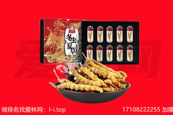 临湘市回收虫草.jpg